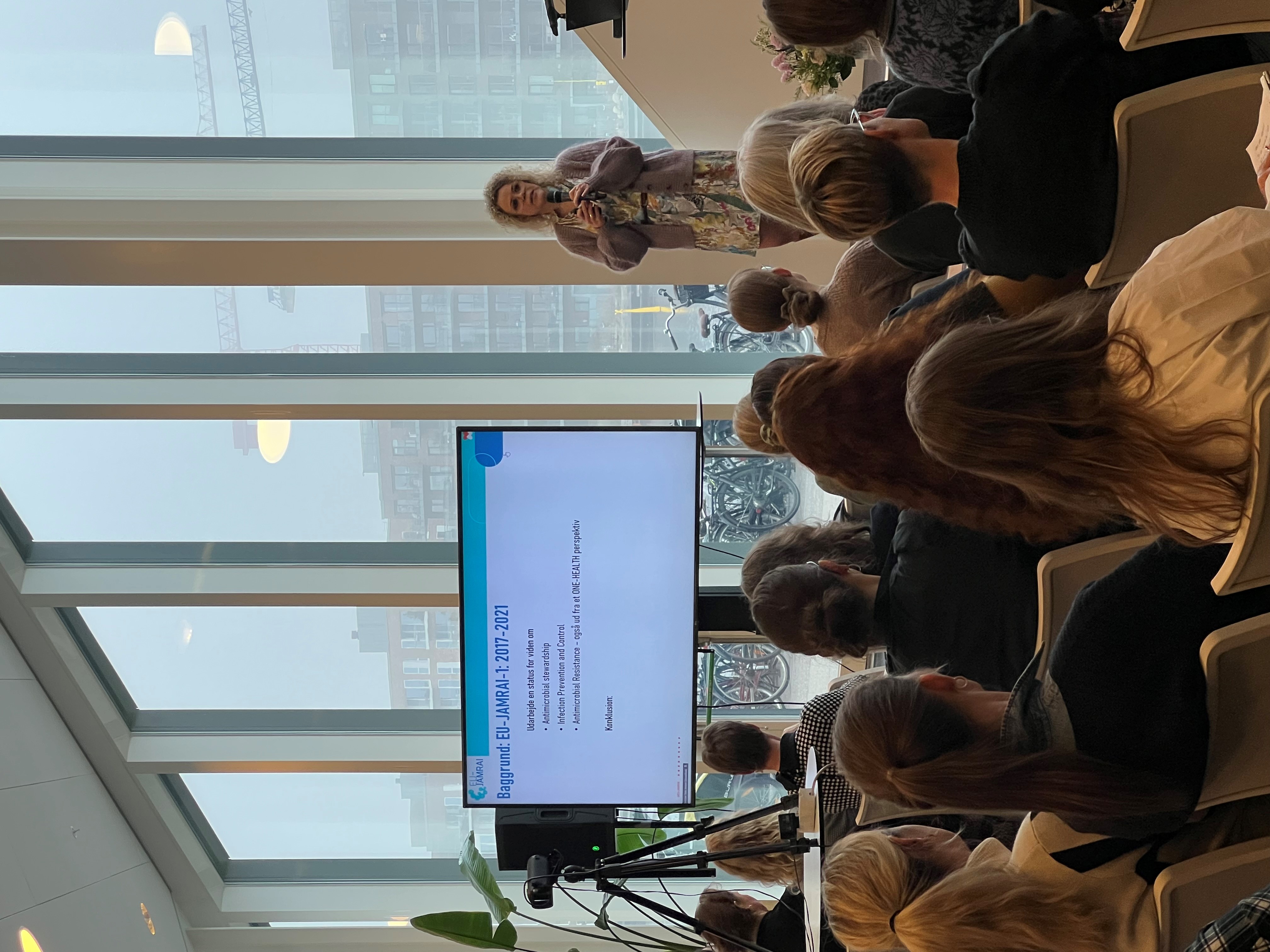 Foto 5 fra Temadagen