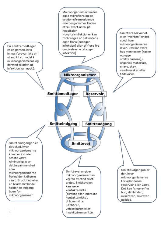 Smittekæden med uddybende beskrivelse og definitioner af de enkelte led
